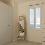 Vakantiehuis Amaris Mykonian